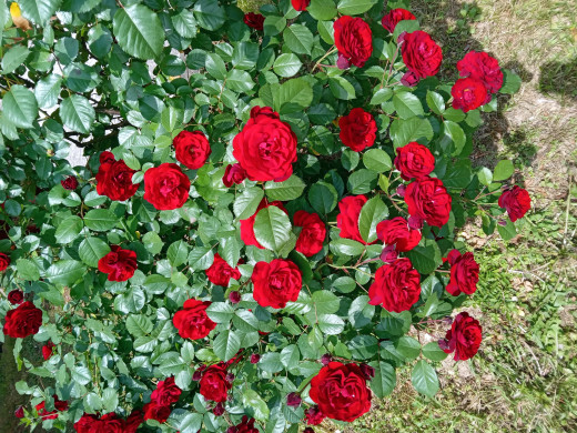 1694878 (a): :2560x1920